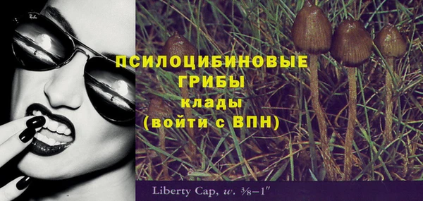 таблы Гусиноозёрск
